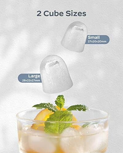 Infographic showing two ice cube sizes with mint and fruit in a glass.