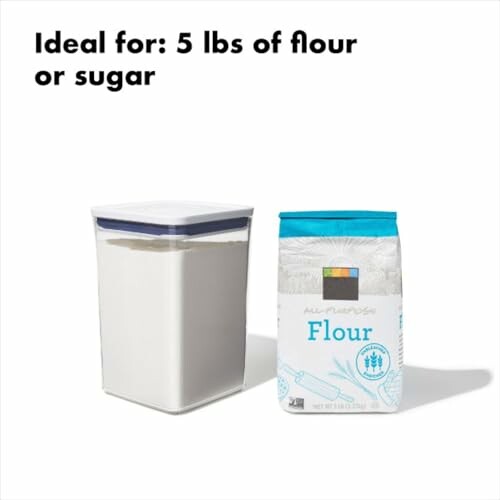 Storage container and bag of flour for 5 lbs capacity